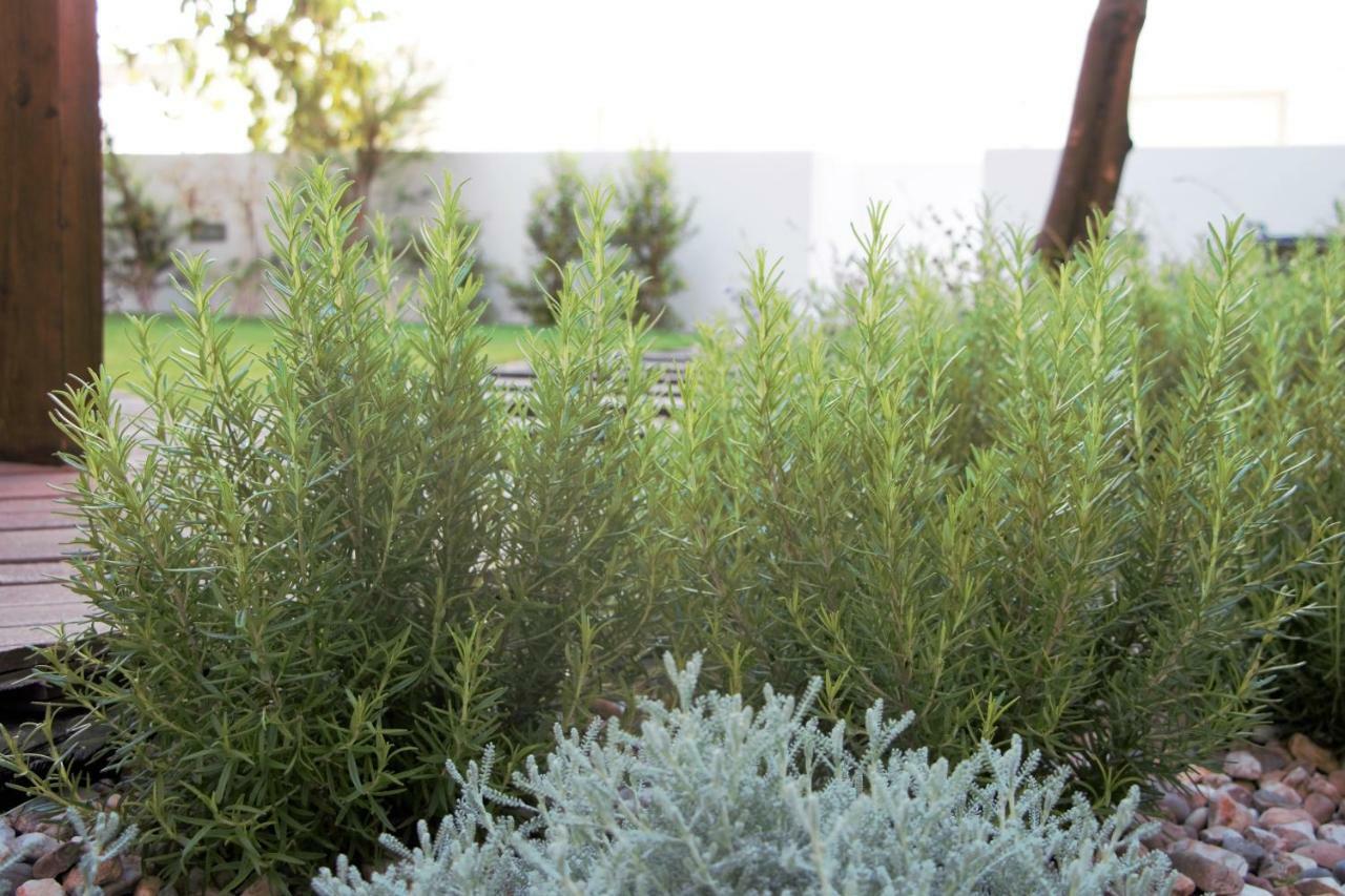 Graca Garden Home Lisboa Εξωτερικό φωτογραφία